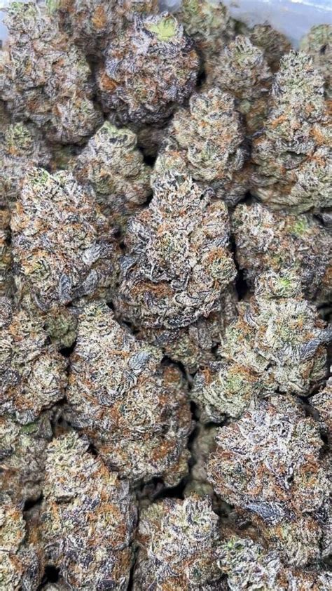 rolex truffle strain|truffles strain for sale.